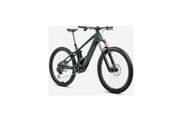 4683589_19368817 Orbea Wild M10 - 750 Wh - 29 Zoll - Fully